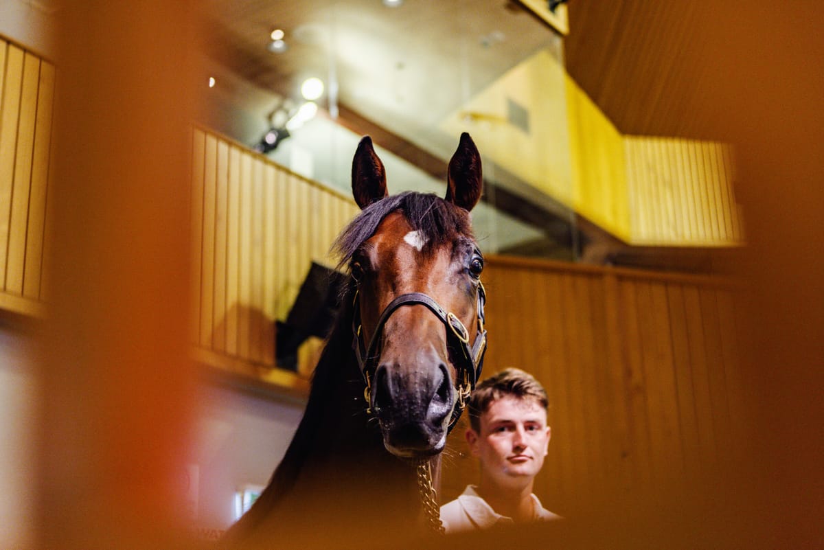 2024 Online Yearling Sale Live