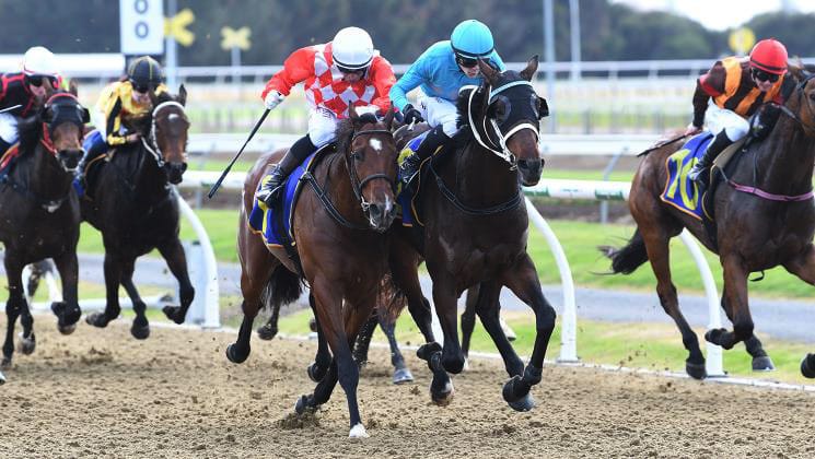 Aladdin Sane progressing in right direction