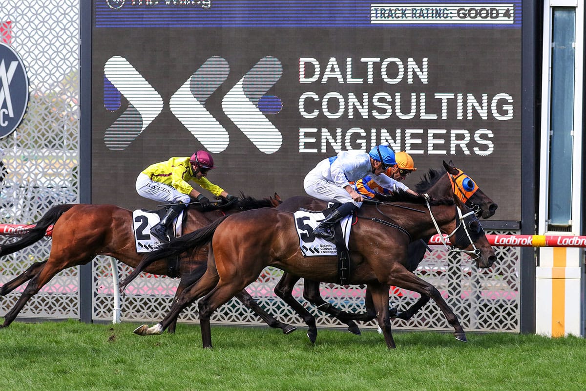 Marsh seeking age-group prizes on both sides of the Tasman