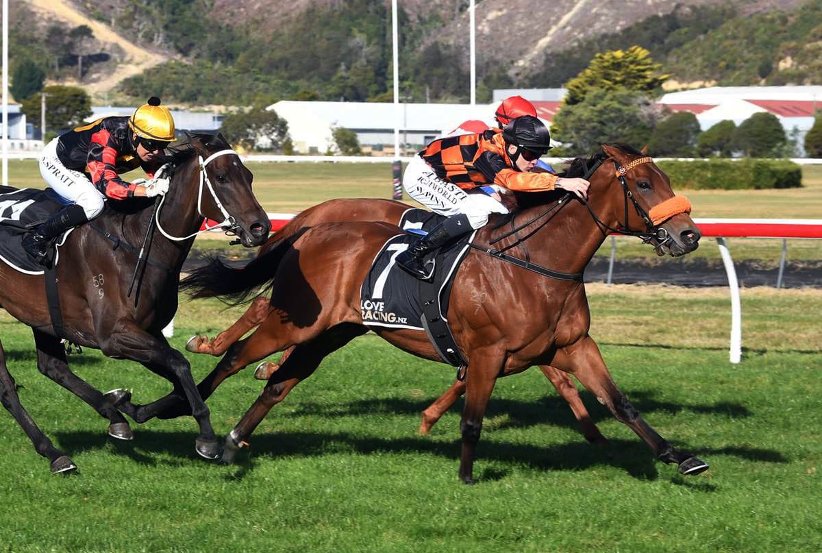 Bradman on song for Trentham test