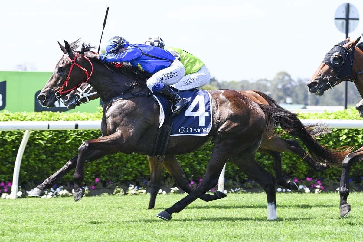 Trainer has another winter carnival Bullet to fire