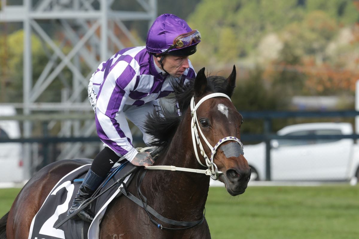 Casino Princess earns Tauranga Classic shot