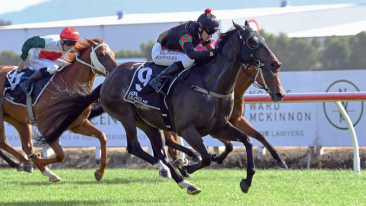Channel Surfer looking to sign off season with stakes win