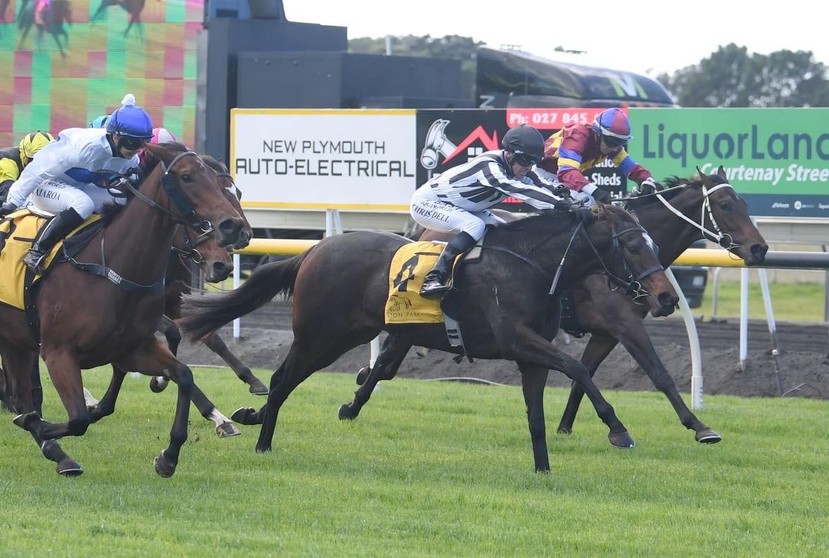Connello strikes winning form at New Plymouth