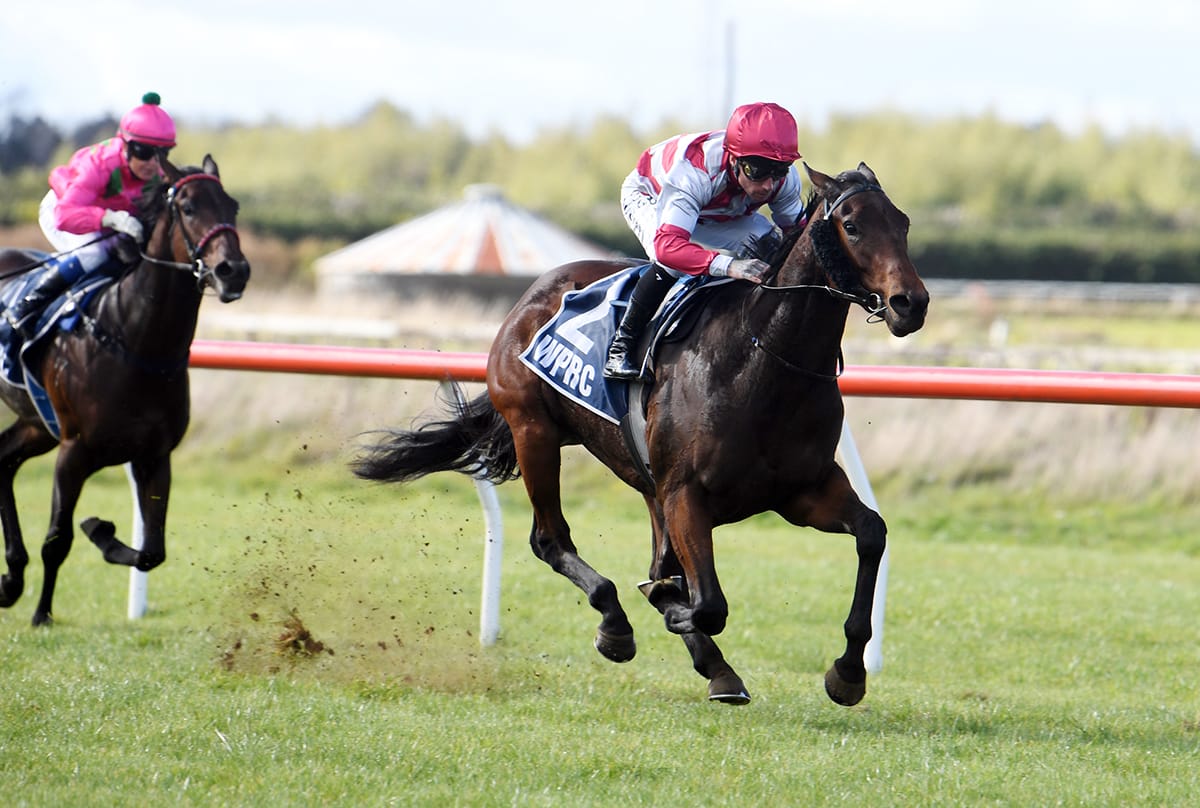 Strong Woodville win for Hong Kong-bound 2YO