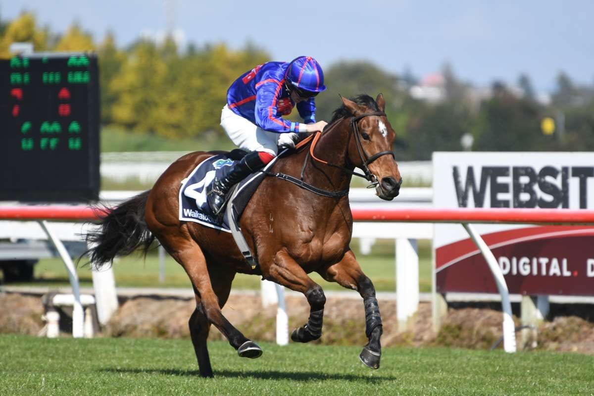 Jockey dilemma for English Gambler