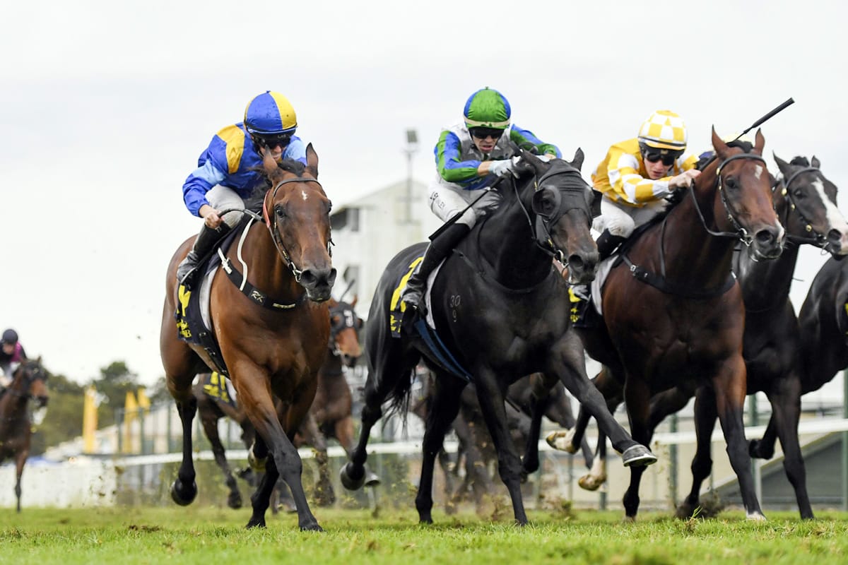 Fall For Cindy shares Hawkesbury spoils