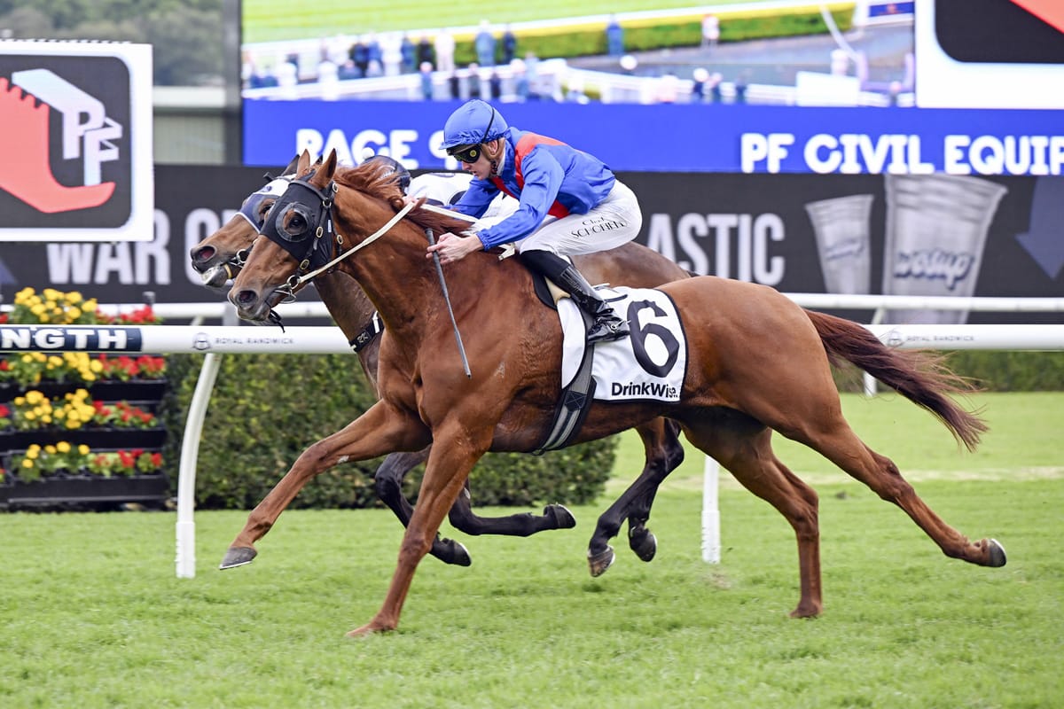 Golden Path relishes distance rise