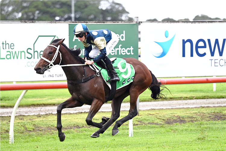 QLD Oaks target for Scarlet