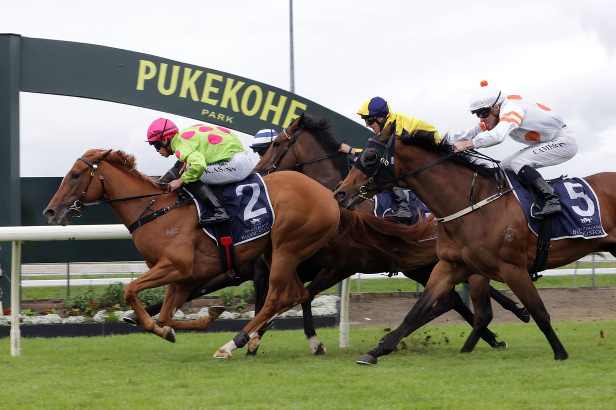 Smart filly taking on the mares in Rotorua Stakes