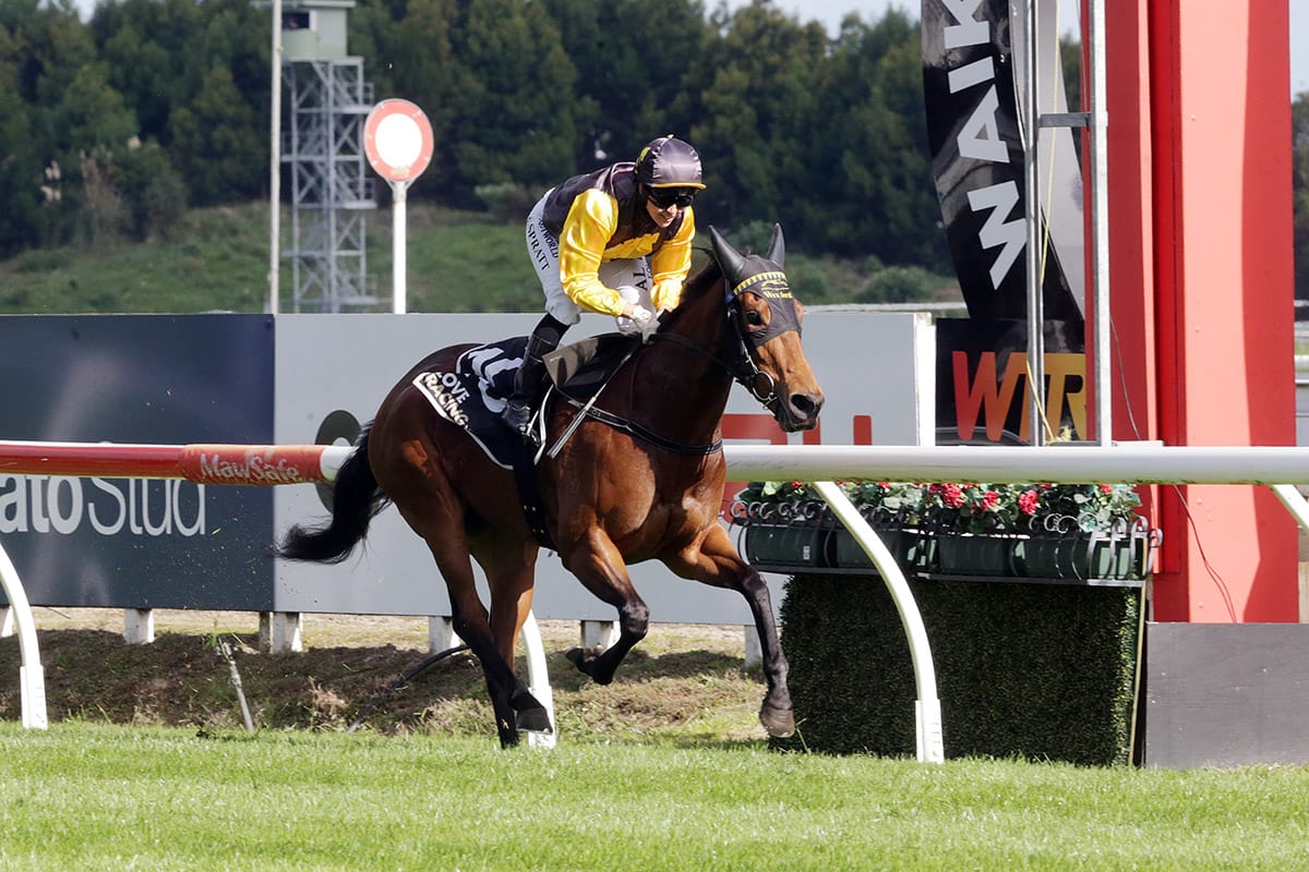 Dual Wexford representation in Rotorua Stakes