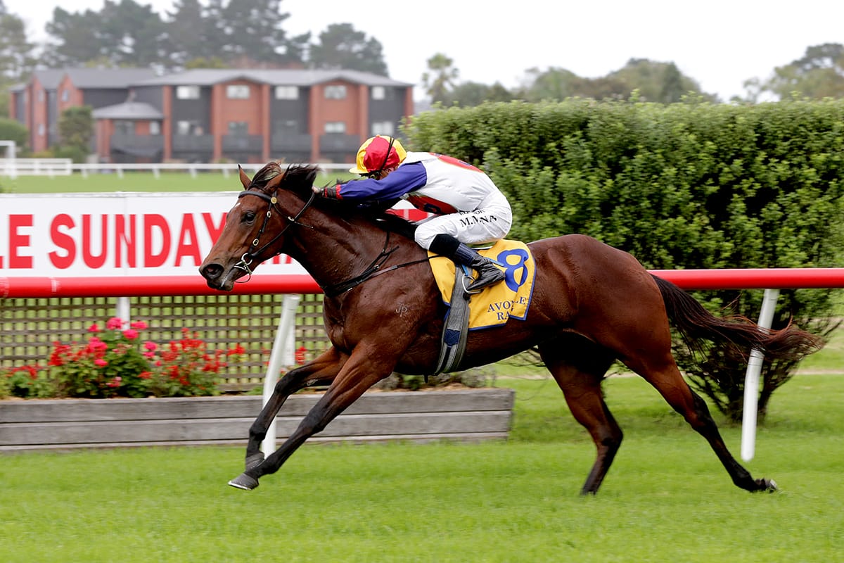 Million Dollar Maiden Series Boost for Karaka Millions