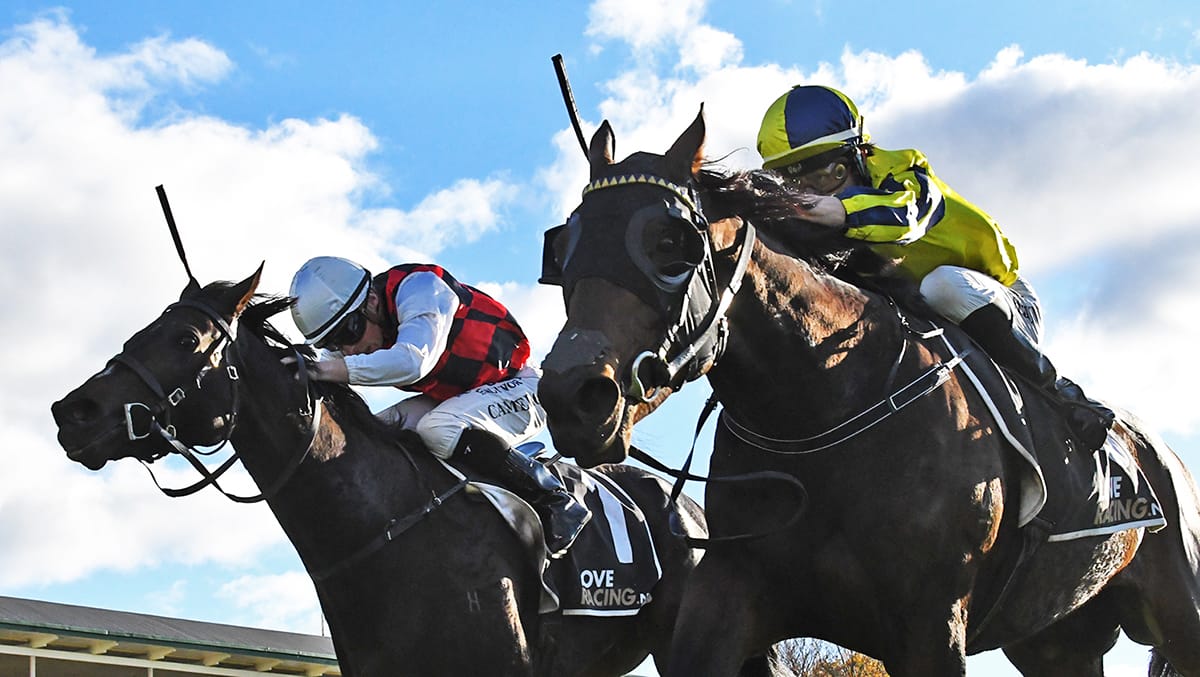 Feature double for Hashizume at Rotorua