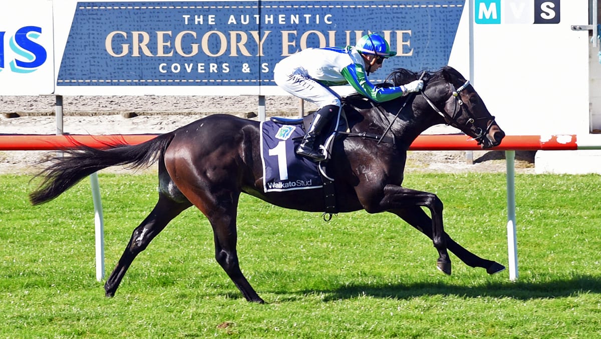 Magice weaves magic at Matamata