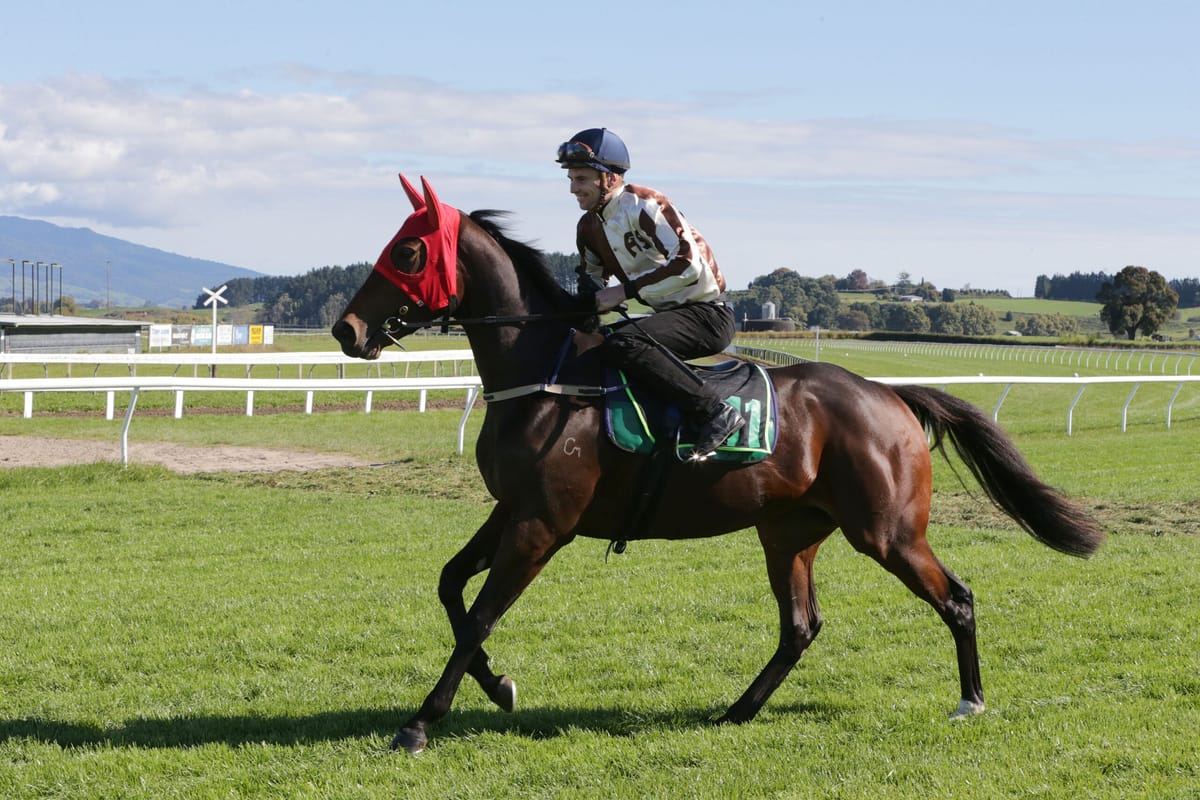 Kelsos keeping with successful formula