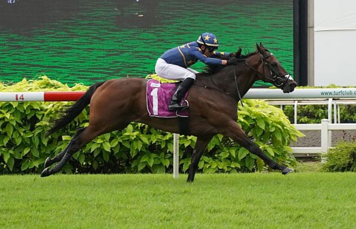 Lim's Kosciuszko wins second consecutive Kranji Mile