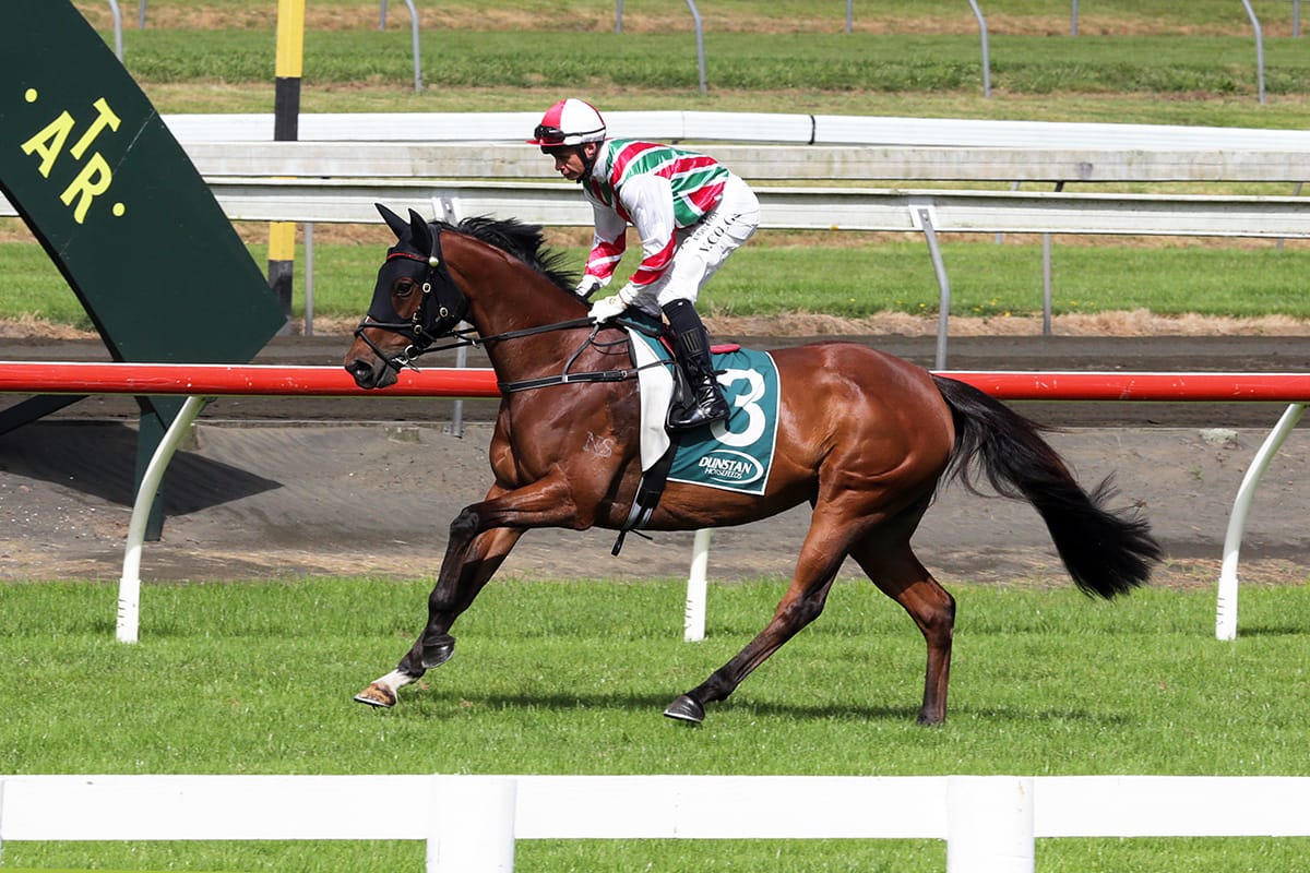 Luxury impost for highly-rated mare