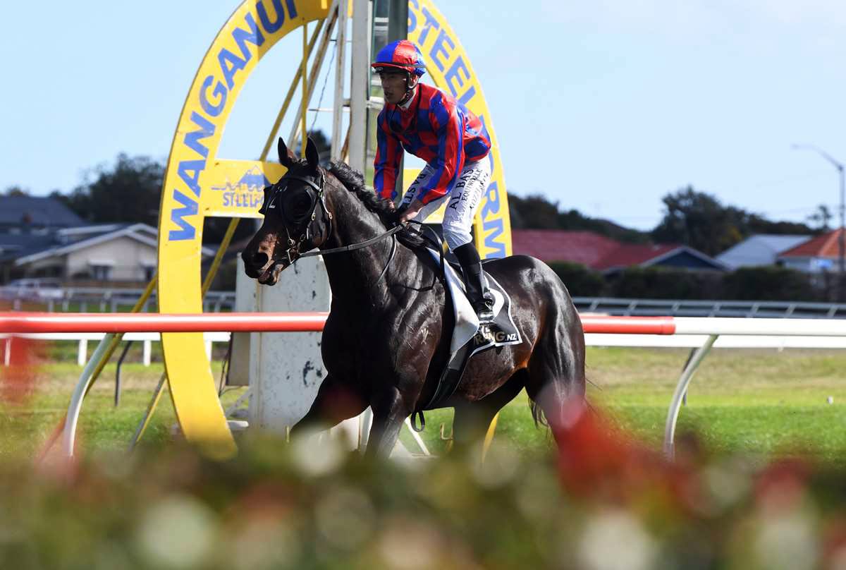 Haworth enjoying more relaxed approach