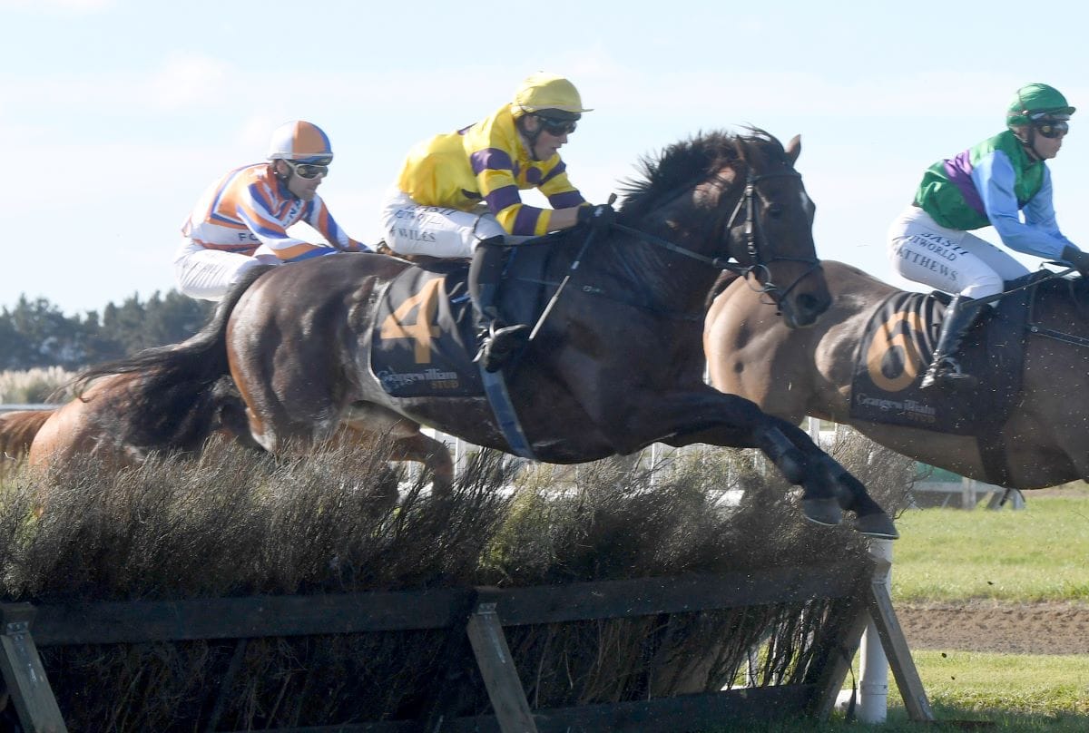 Password back on top at Hawera