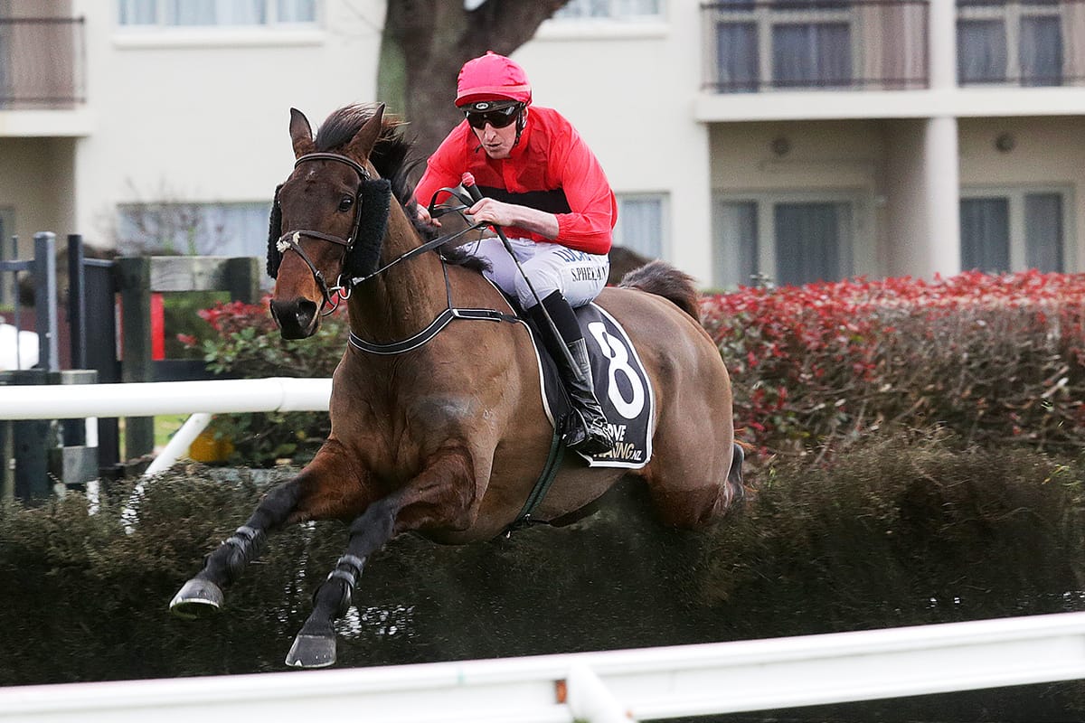 Raucous set for Te Rapa return