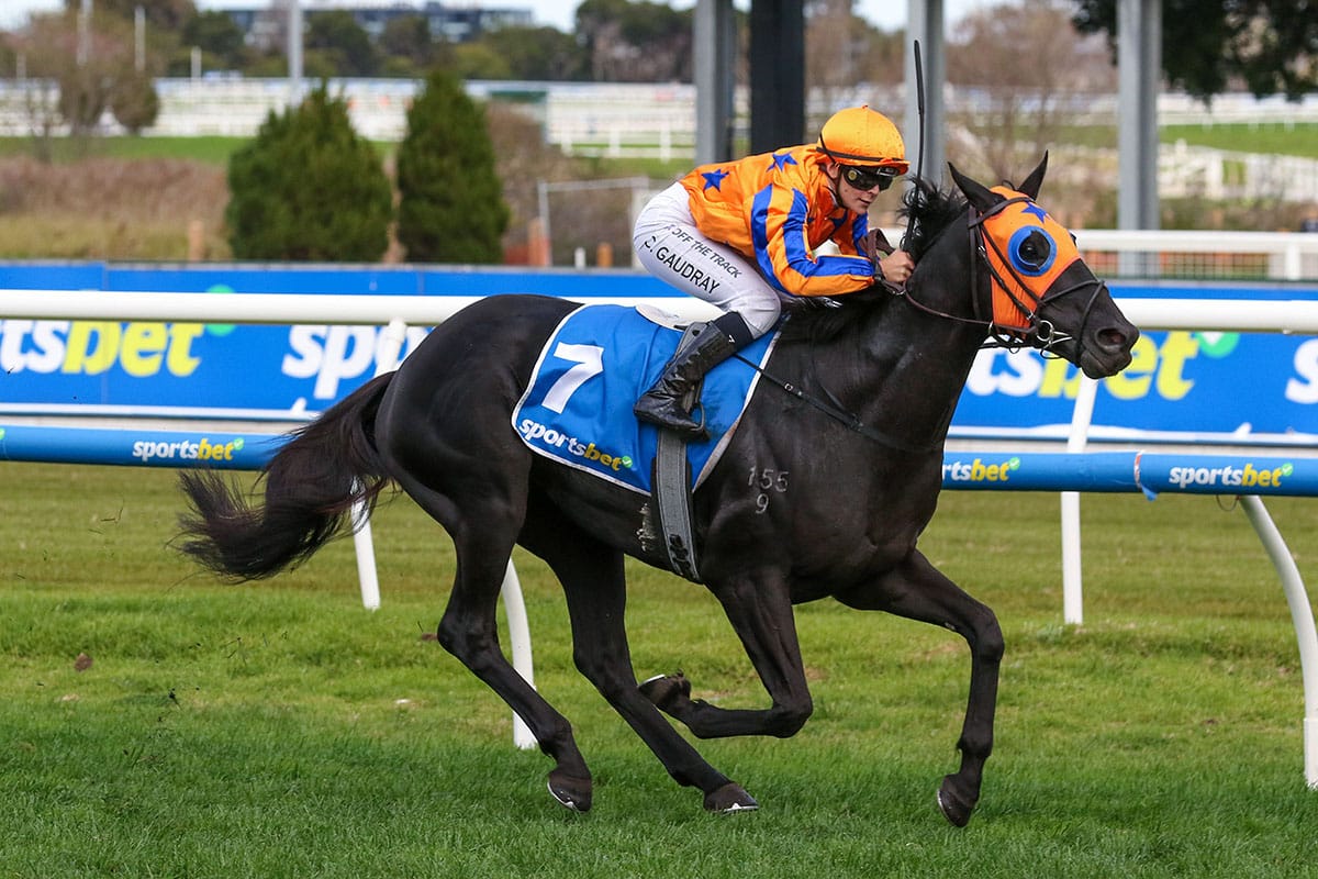 Savoir Faire prevails at Caulfield
