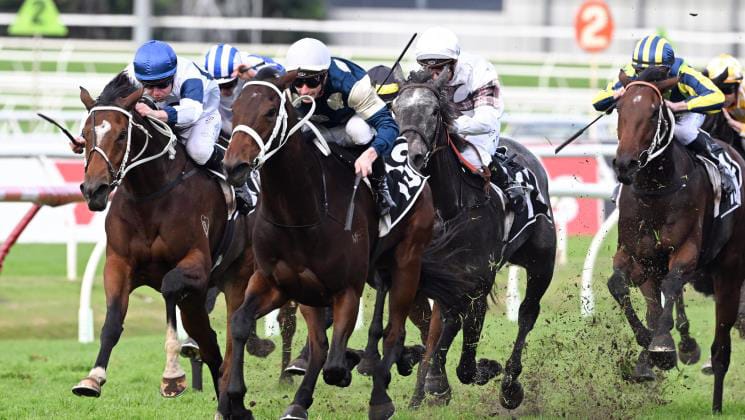 Early breeding setback overcome in the best way