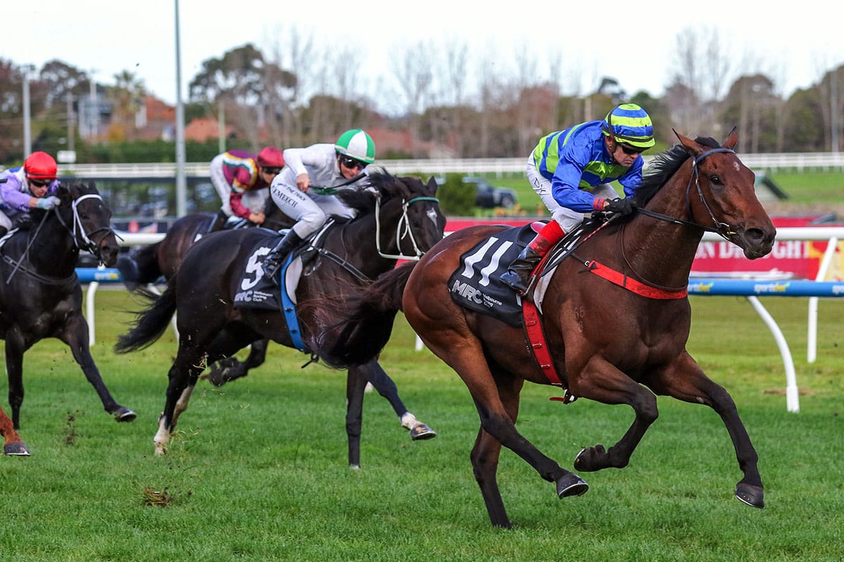 Queensland campaign for Shock ‘Em Ova