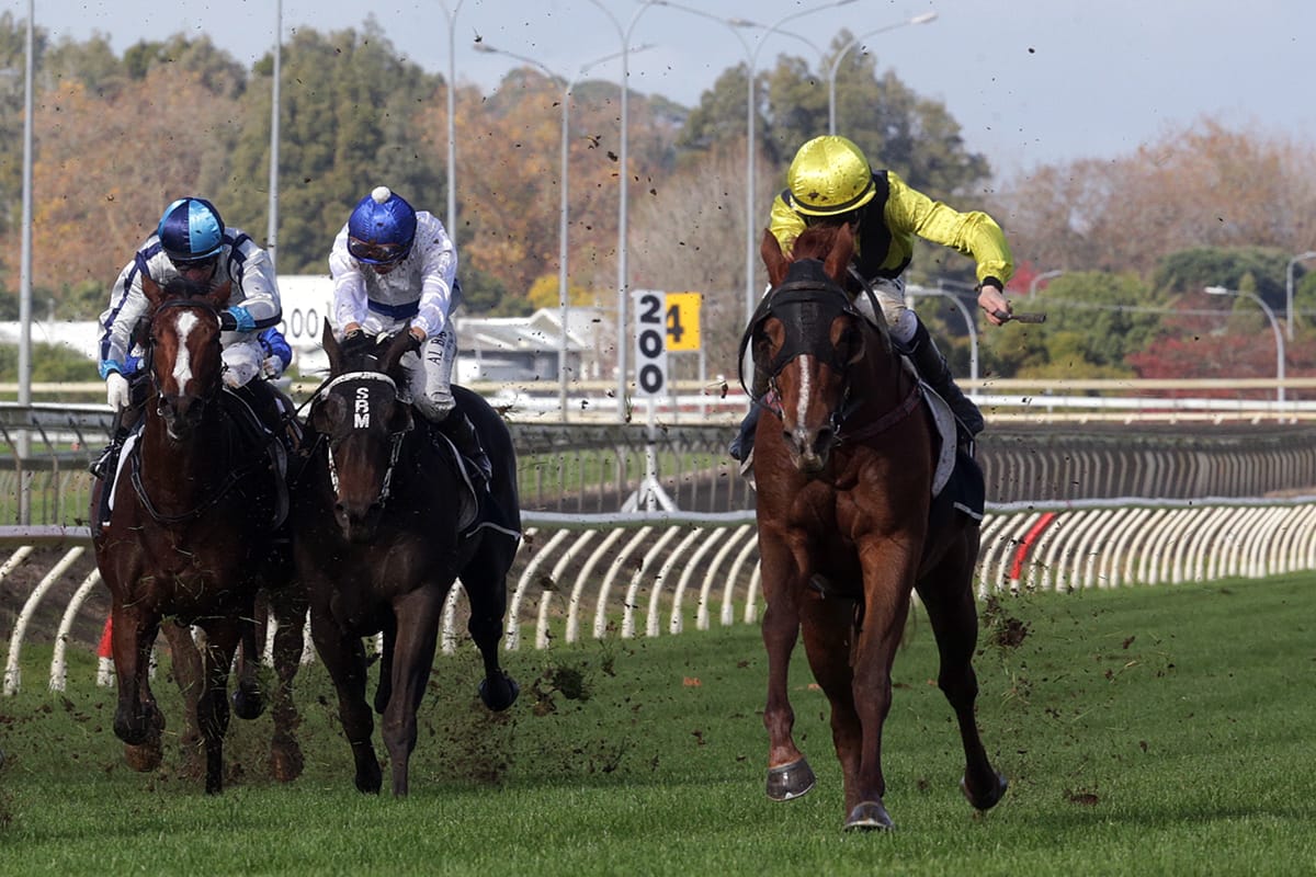 Small but mighty Southern Warrior earns stakes win