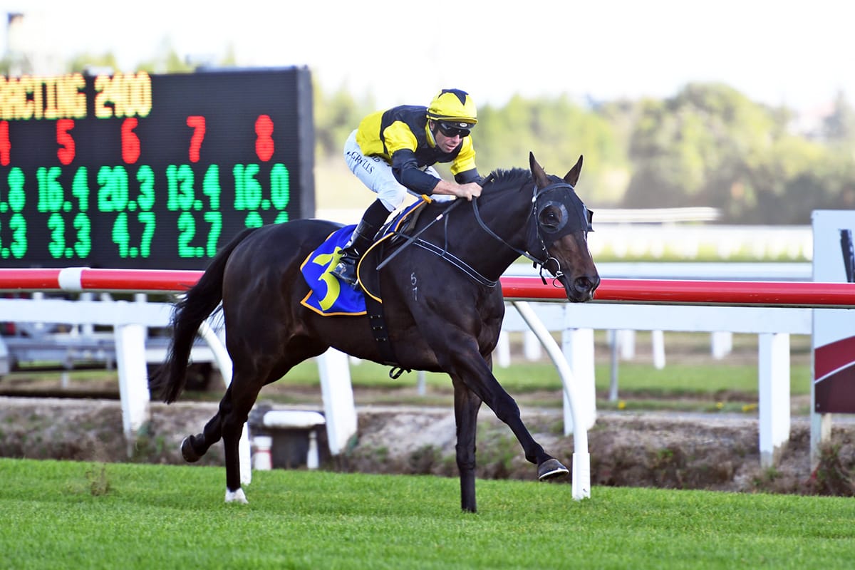 The Fearless One out for Cup win