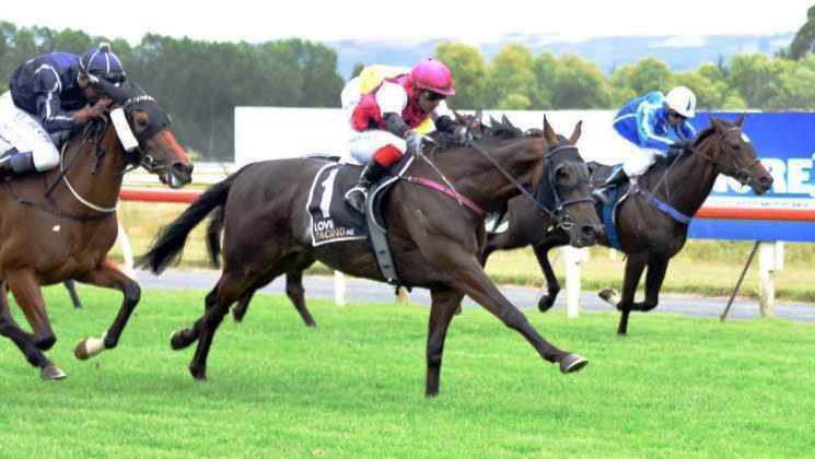 Tui Toiler taking form into Cup test