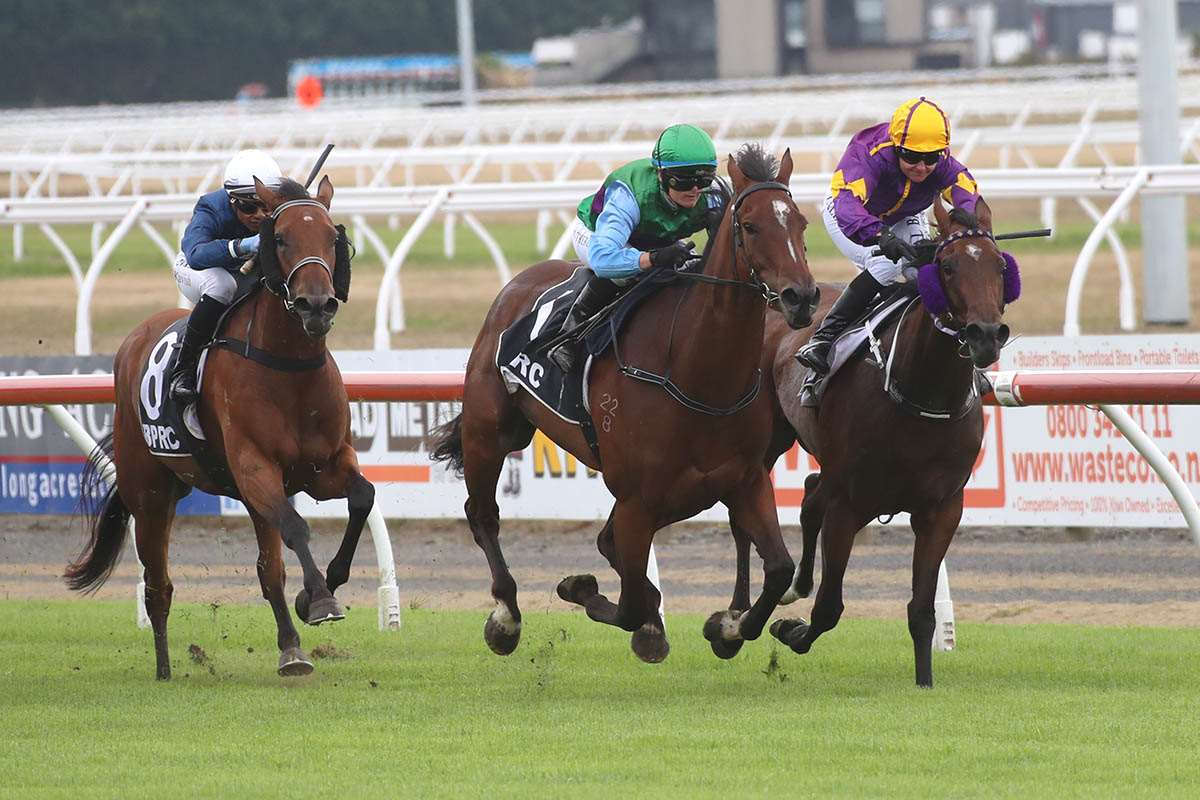 Robinson well represented at Riccarton