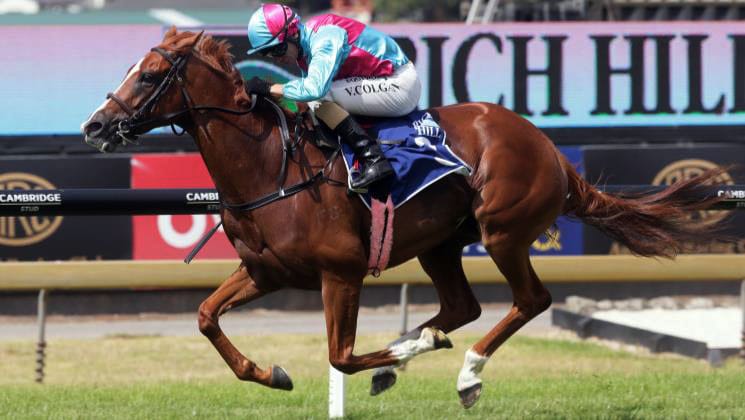 Whiskey ‘N Roses looking for a taste of Champagne