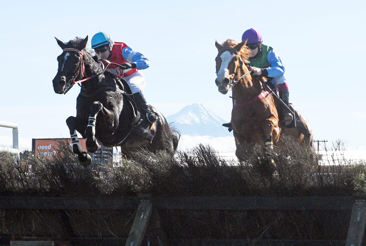 Options open with Auld Jock