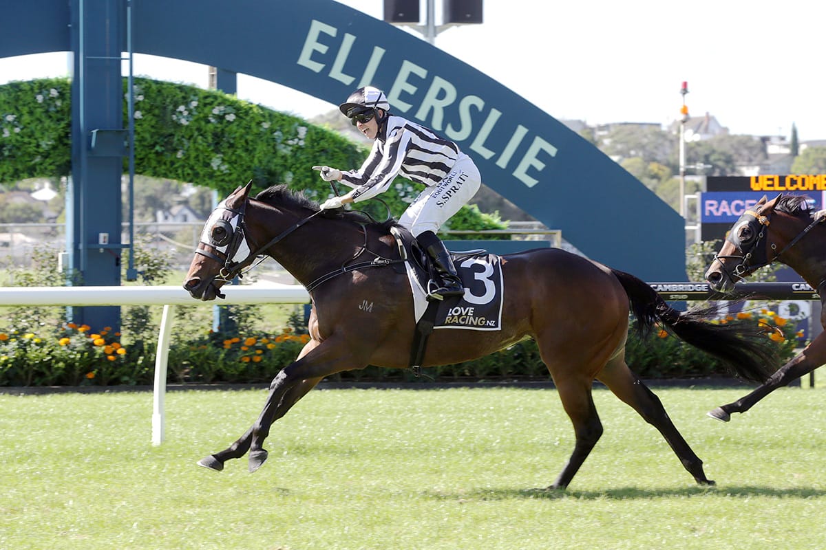 Belclare aiming for NZ Breeders’ threepeat