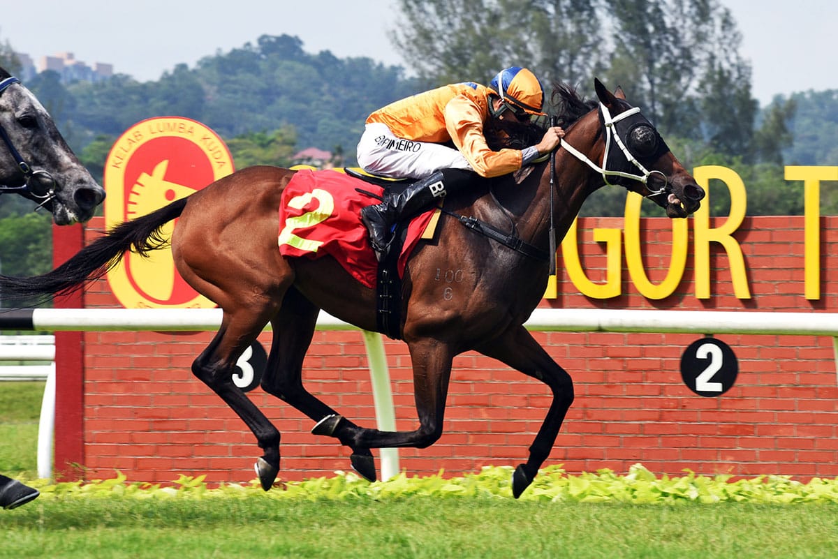 Pasir Pinji back at his best in Charity Cup