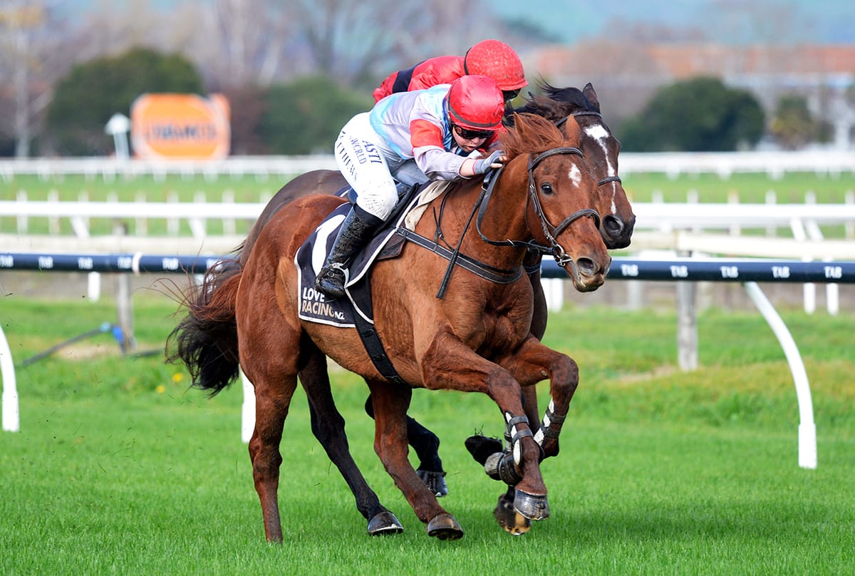 Berry The Cash too tough in Hastings Hurdle feature