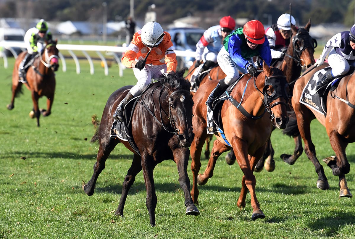 Blackwood Star returns to form in Trentham winter feature