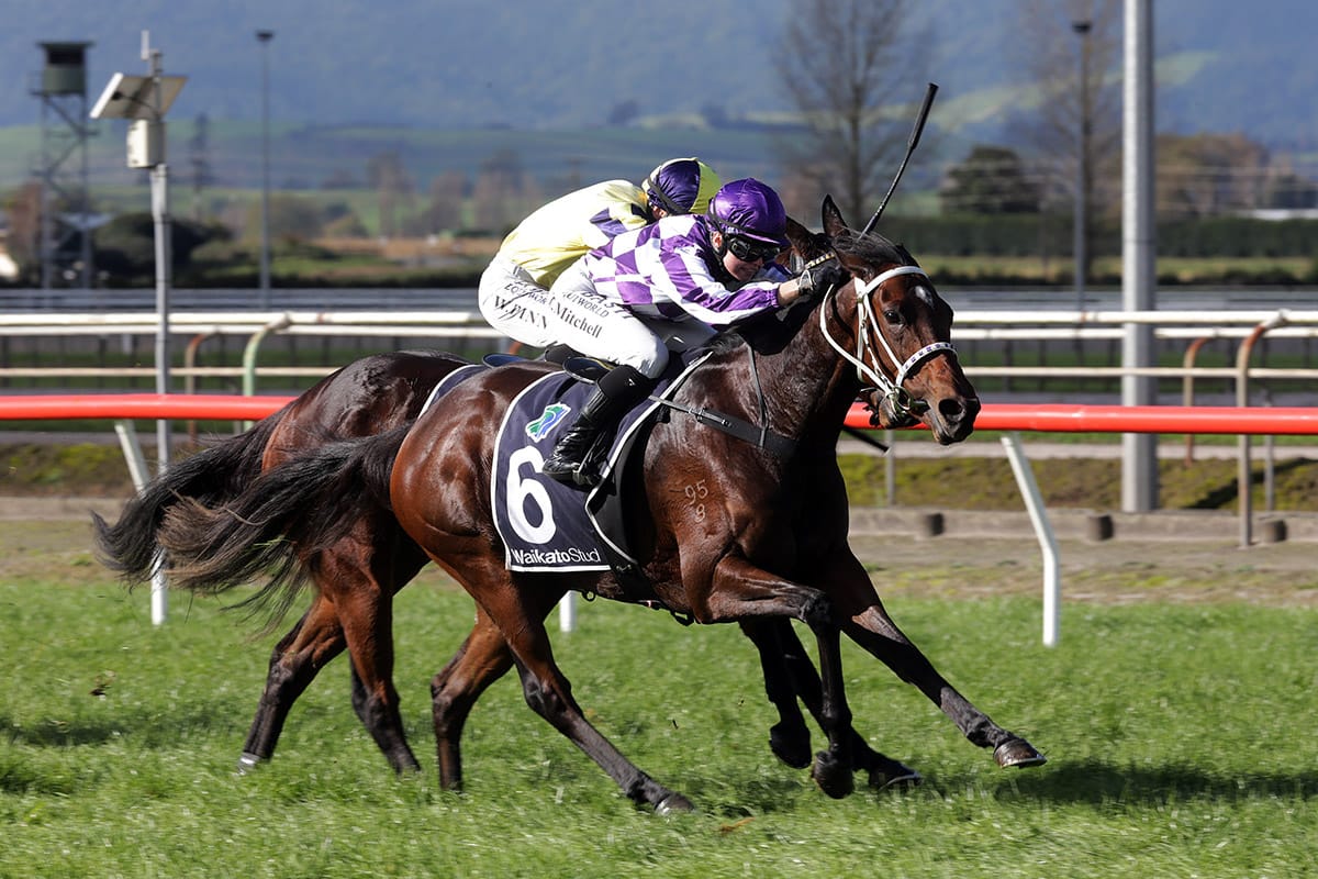 Goss hoping for stakes success