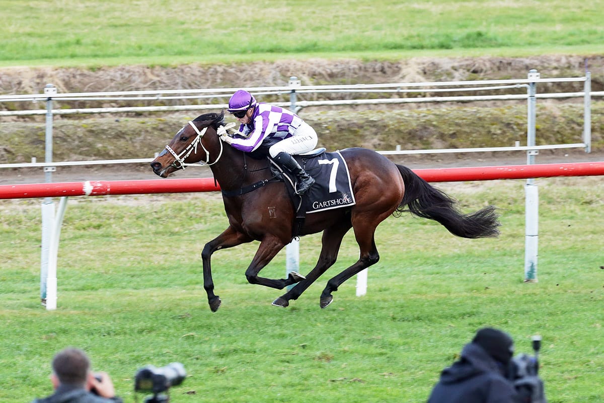 Casino Princess lands popular win in Tauranga Classic