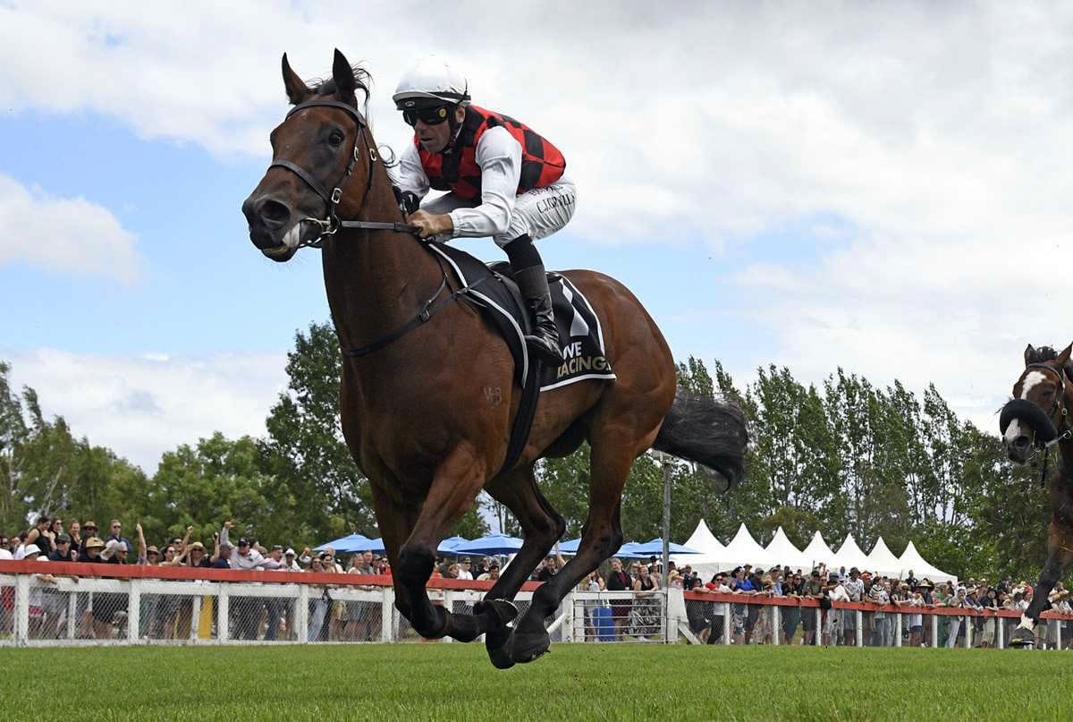 Talented filly resumes at Tauranga