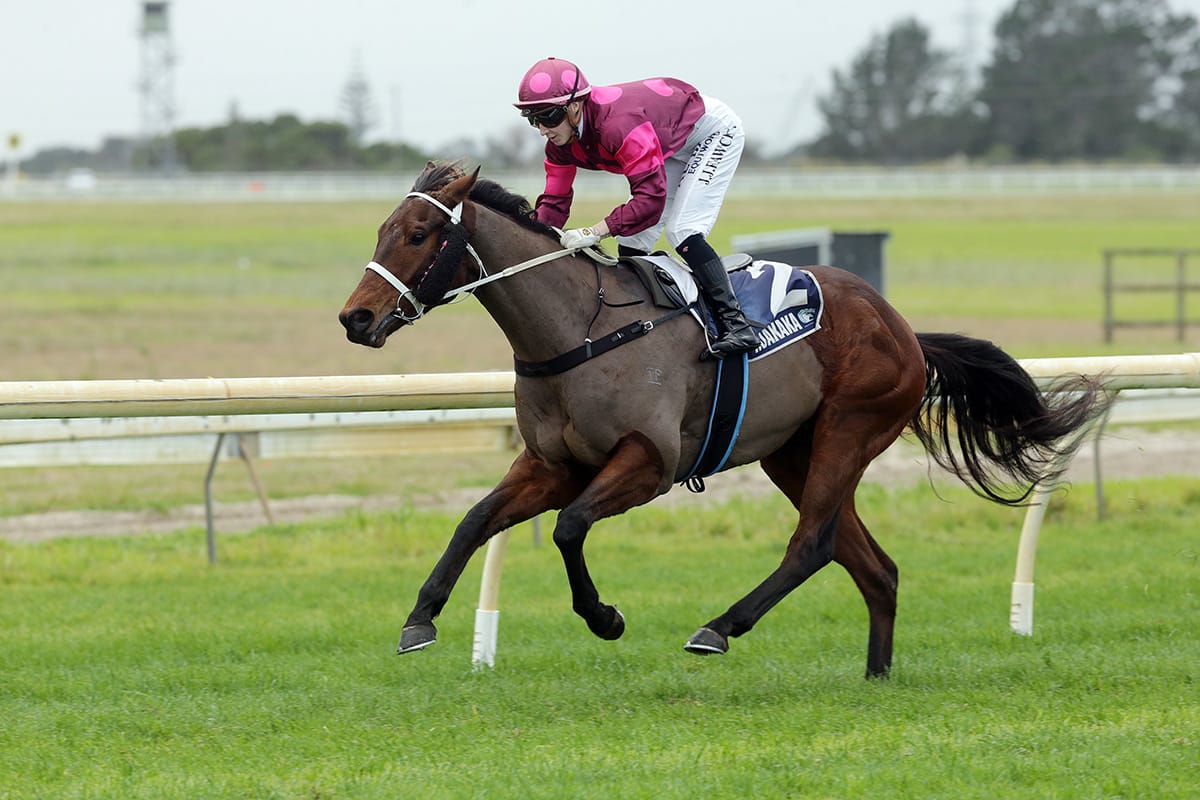 Dan Vegas makes impressive debut