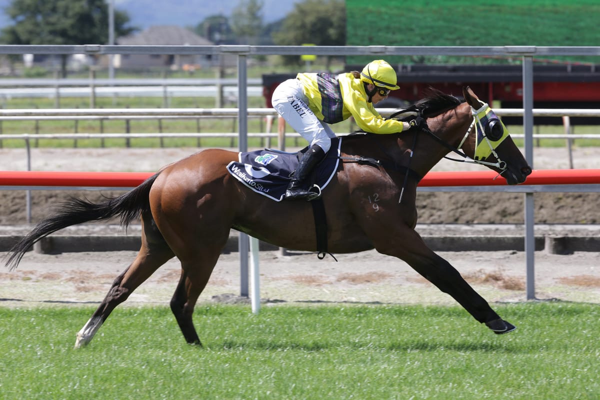 Dusty Road ready for Te Rapa task