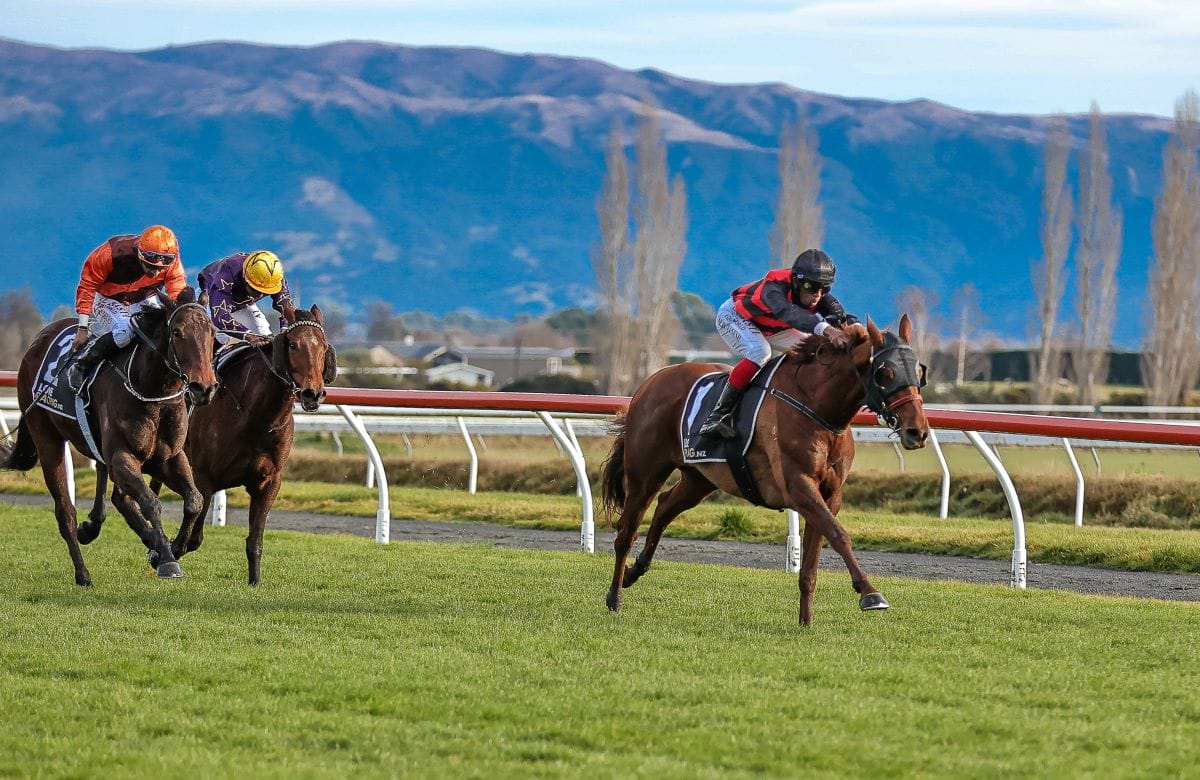 Fiery Red shines for Price at Wingatui