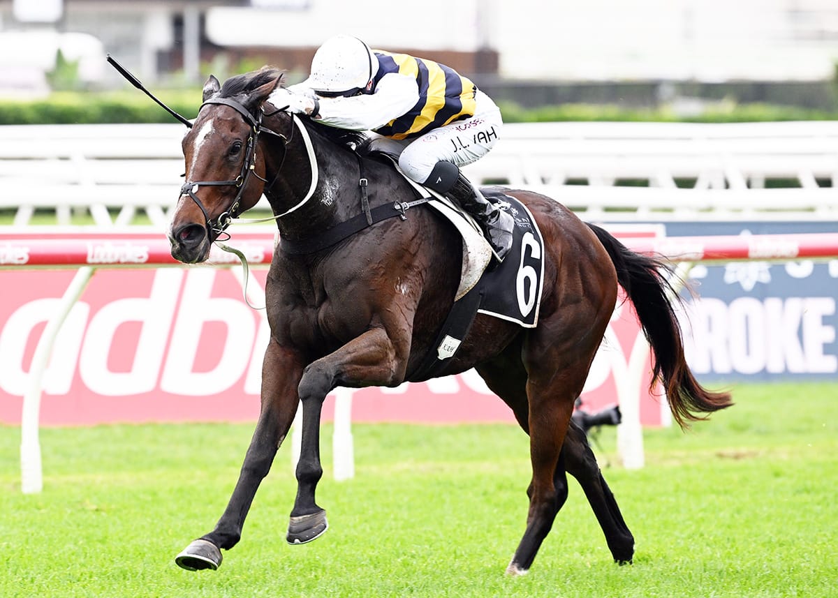 Hezashocka too good in Premier’s Cup