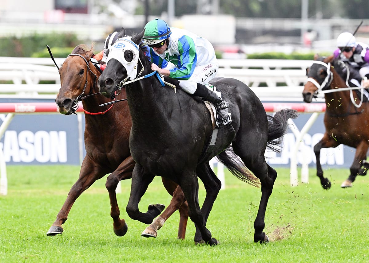 Star Wishes for a Valley Win