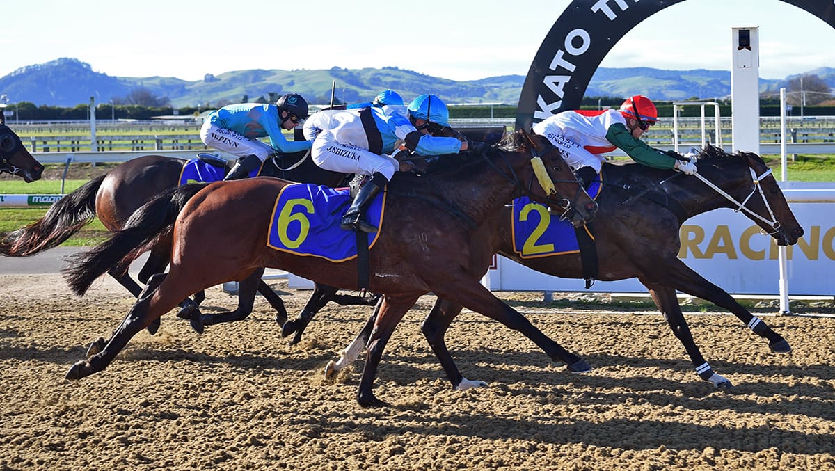 My Chablis scores Cambridge win