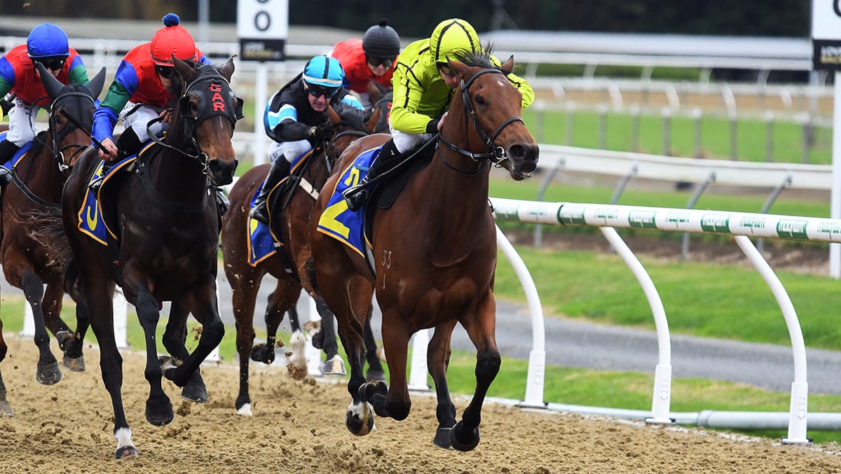 Two-year-old impressed at Cambridge