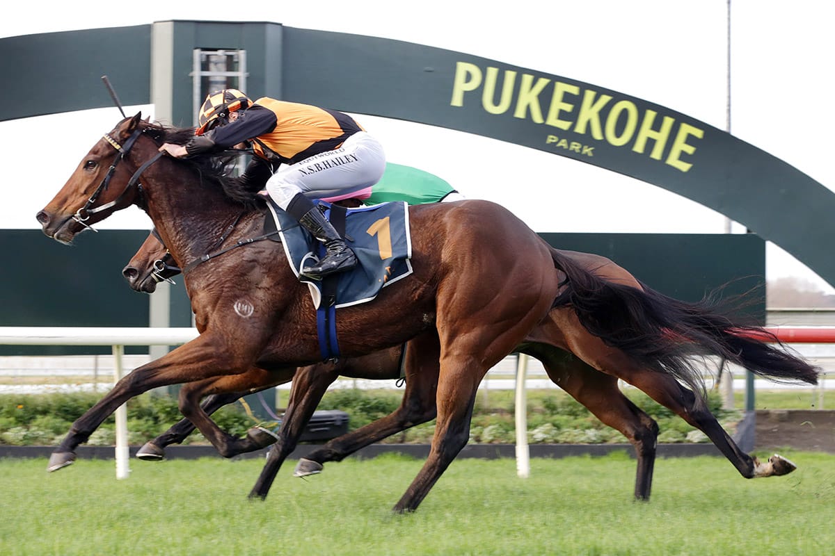 Wexford’s emerging stars looking to shine on both sides of the Tasman