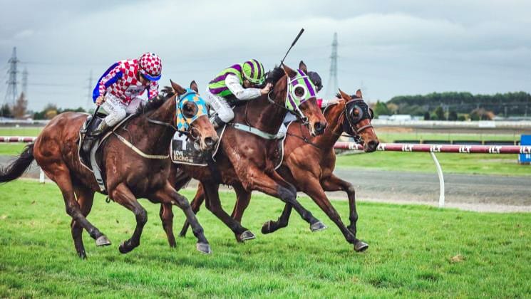 Loftys Gift ready for Riccarton test