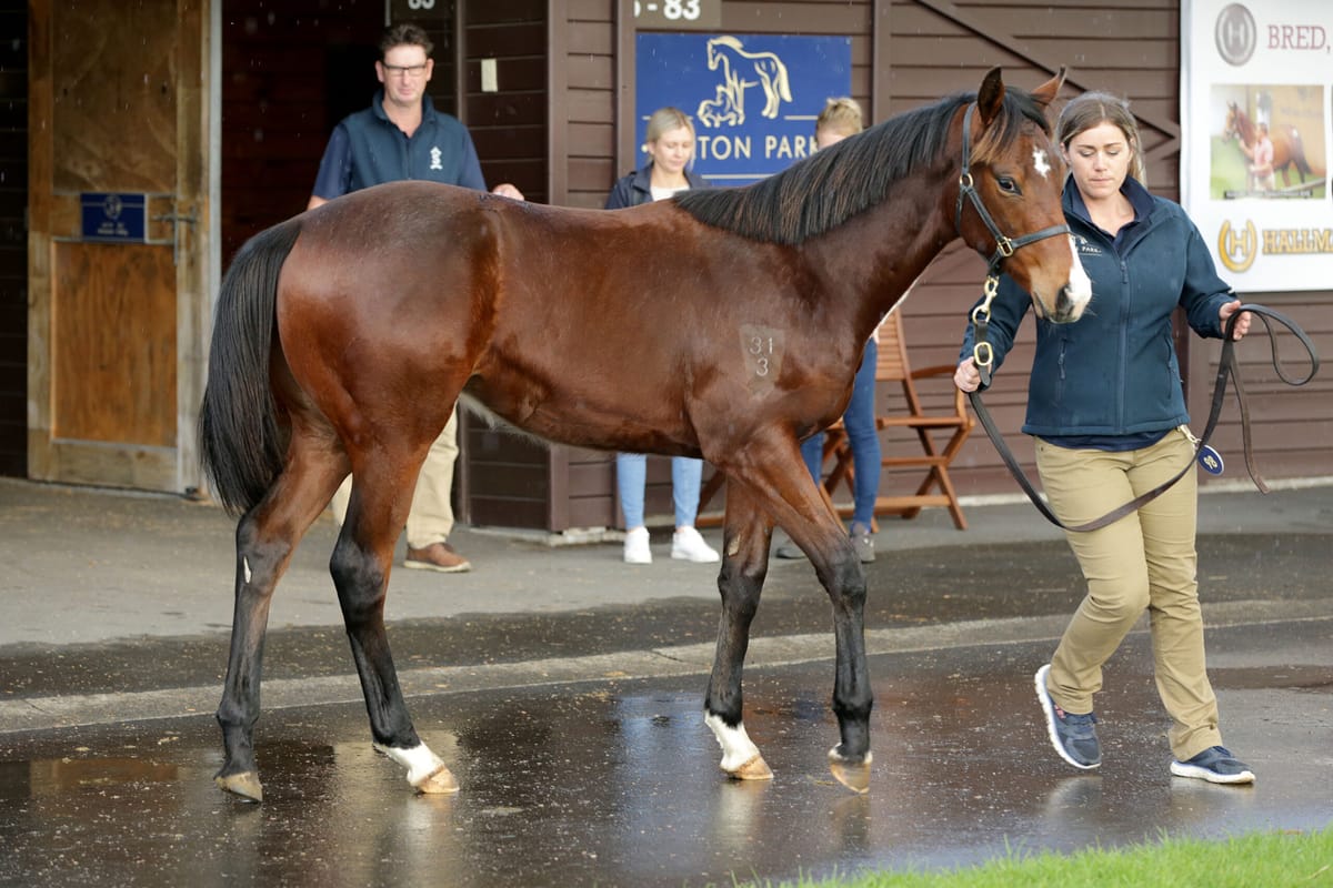 Eagleton bullish ahead of National Weanling Sale